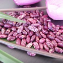 long shape purple speckled kidney bean heilongjiang beans - product's photo