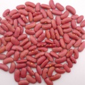 best quality chinese pink kidney beans many kinds of beans - product's photo