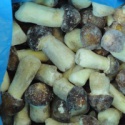 iqf frozen style stropharia mushroom whole - product's photo
