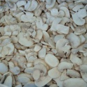 iqf frozen style champignon slices - product's photo