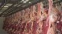 halal fresh frozen lamb meat - product's photo