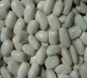 white kidney beans (long shape) - product's photo