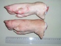 pork frontfeet - product's photo