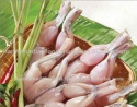 high quality skinless frozen frog legs - product's photo