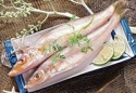 fresh hot sale frozen sea fish for sale - product's photo