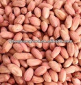 chinese iso9001 haccp common raw peanut kernel - product's photo