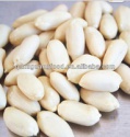 new blanched peanut kernel 29/33 with good quality - product's photo