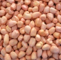 raw peanuts for sale - product's photo