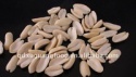 10 years factory direct sale peanut kernels - product's photo