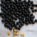 china for black bean with green kernel - product's photo
