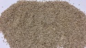 white sesame seeds - product's photo