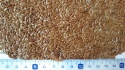 flax seeds - product's photo