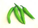 fresh green chilli - product's photo