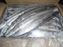 frozen ribbon fish - product's photo