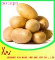 potato chip machine - product's photo