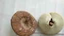 dried reishi mushroom whole ganoderma lucidum good shape - product's photo