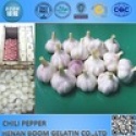 china fresh garlic - product's photo