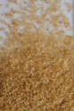unrefined cane sugar coffee crystals - product's photo