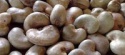 raw cashew nuts with shell price - product's photo