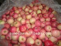 fresh fuji apple fruit /red fuji - product's photo