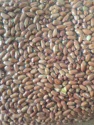 peanut kernels size:34/38 - product's photo