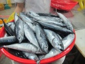 bonito tuna - product's photo