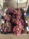 crimson seedlees grape - product's photo