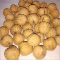 wholesale common walnut at very good price  - product's photo