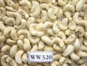 good quality cashew kernel nuts best price - product's photo