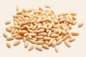low price pine nut kernels - product's photo