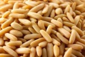 pine nuts at very cheap prices - product's photo