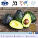 pure natural avocado extraction powder avocado seeds - product's photo