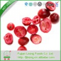 super quality hot selling freeze dried blueberry fruit powder - product's photo