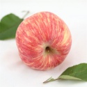 apple price for different varieties apple fruits pecification - product's photo