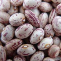 97% american round natural light speckled kidney bean - product's photo