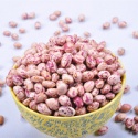 xinjiang round light speckled kidney beans harvester - product's photo