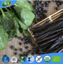 gluten free vegan organic black bean & spinach pasta - product's photo