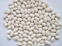  white kidney beans with excellent quality - product's photo