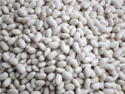 small white kidney beans from china - product's photo