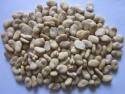 peeled broad beans - product's photo
