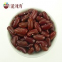 dark red kidney bean 2016 crop - product's photo