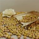 high protein soybean soy beans - product's photo