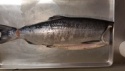 chum salmon hg - product's photo