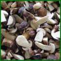 brown wild frozen boletus mushroom quarter slice - product's photo
