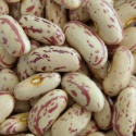 light speckled kidney beans pinto beans - product's photo