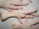 quality frozen chicken feet exporters - product's photo