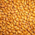 light brown kidney beans - product's photo