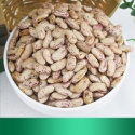 dried light speckled kidney beans - product's photo