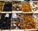 mushroom whole china organic smooth bulk package dried shiitake - product's photo