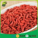 usda organic goji berries wholesale - product's photo